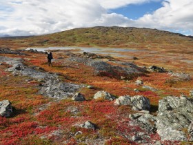 Narodni_park_Padjelanta